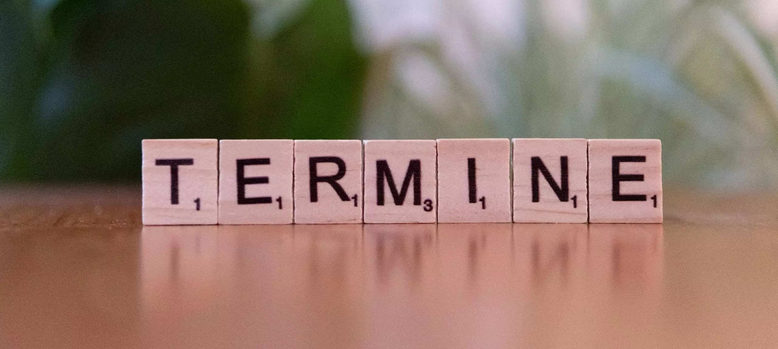 Close-up of Scrabble tiles spelling 'TERMINE'.